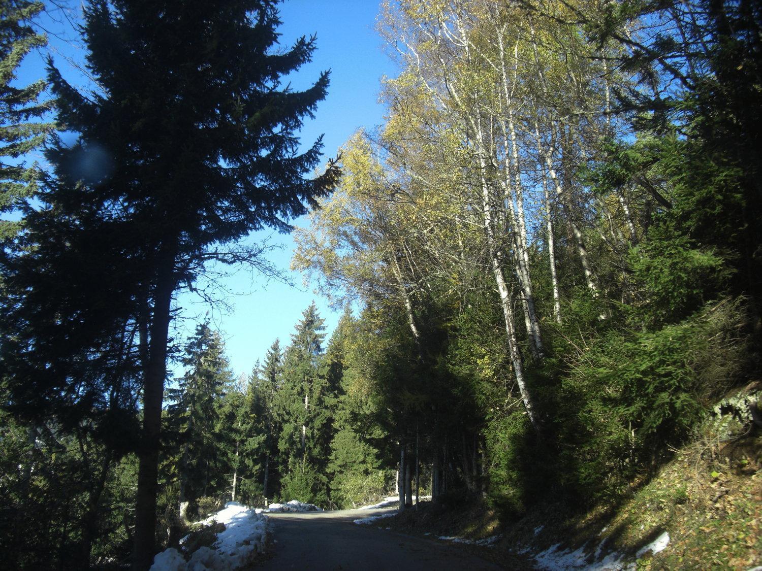 Gasthof Laggner Steindorf am Ossiacher See Exterior foto